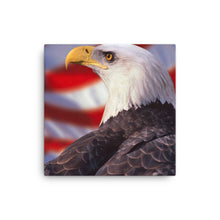 Load image into Gallery viewer, Eagle 2 - Canvas