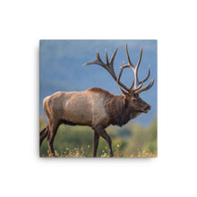 Load image into Gallery viewer, Elk 2 - Canvas