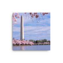Load image into Gallery viewer, National Monument 2 - Canvas
