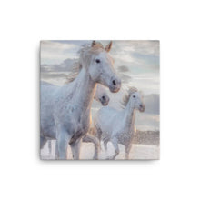 Load image into Gallery viewer, Horse 2 - Canvas