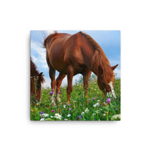 Load image into Gallery viewer, Horse 3 - Canvas