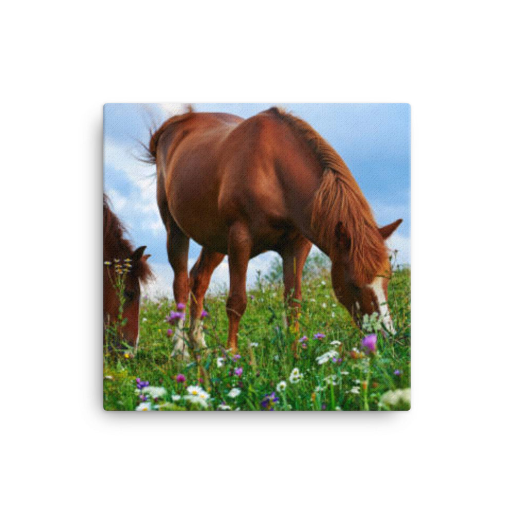 Horse 3 - Canvas