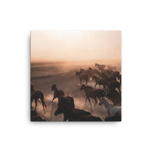 Load image into Gallery viewer, Horse 4 - Canvas