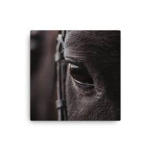 Load image into Gallery viewer, Horse 8 - Canvas
