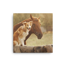 Load image into Gallery viewer, Horse 11 - Canvas
