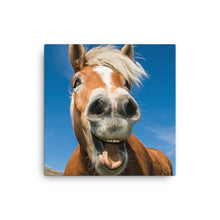 Load image into Gallery viewer, Horse 15 - Canvas