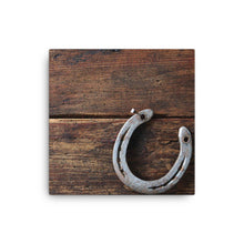 Load image into Gallery viewer, Horse 16 - Canvas