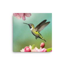 Load image into Gallery viewer, Hummingbird 1 - Canvas