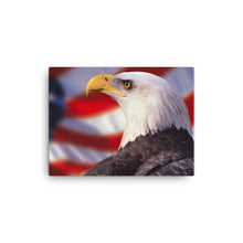 Load image into Gallery viewer, Eagle 2 - Canvas