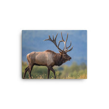 Load image into Gallery viewer, Elk 2 - Canvas