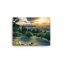 Load image into Gallery viewer, Mount Of Olives - Canvas