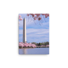 Load image into Gallery viewer, National Monument 2 - Canvas
