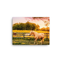 Load image into Gallery viewer, Horse In Kentucky - Canvas