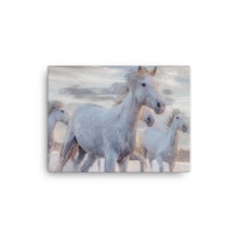 Load image into Gallery viewer, Horse 2 - Canvas