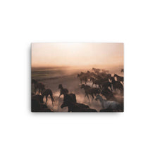 Load image into Gallery viewer, Horse 4 - Canvas