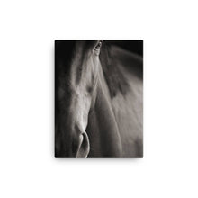 Load image into Gallery viewer, Horse 7 - Canvas