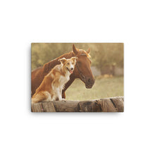 Load image into Gallery viewer, Horse 11 - Canvas