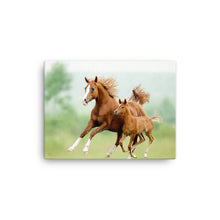 Load image into Gallery viewer, Horse 13 - Canvas