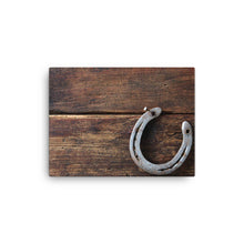 Load image into Gallery viewer, Horse 16 - Canvas