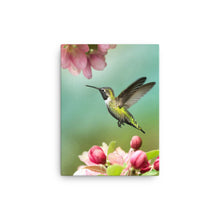 Load image into Gallery viewer, Hummingbird 1 - Canvas
