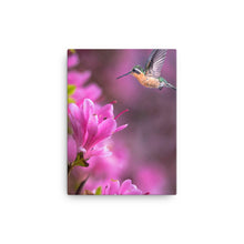 Load image into Gallery viewer, Hummingbird 2 - Canvas