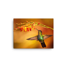 Load image into Gallery viewer, Hummingbird 3 - Canvas