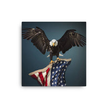 Load image into Gallery viewer, Eagle 1 -  Canvas