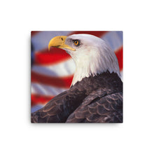 Load image into Gallery viewer, Eagle 2 - Canvas