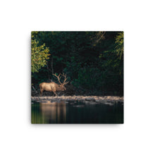 Load image into Gallery viewer, Elk 1 - Canvas