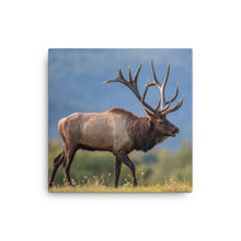 Load image into Gallery viewer, Elk 2 - Canvas