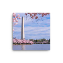 Load image into Gallery viewer, National Monument 2 - Canvas
