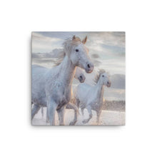 Load image into Gallery viewer, Horse 2 - Canvas
