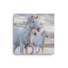 Load image into Gallery viewer, Horse 2 - Canvas