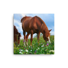 Load image into Gallery viewer, Horse 3 - Canvas
