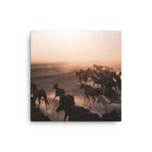 Load image into Gallery viewer, Horse 4 - Canvas