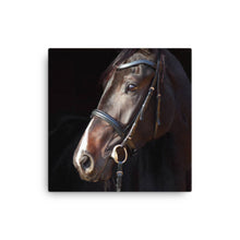 Load image into Gallery viewer, Horse 6 - Canvas