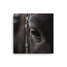 Load image into Gallery viewer, Horse 8 - Canvas