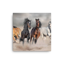 Load image into Gallery viewer, Horse 9 - Canvas