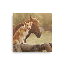 Load image into Gallery viewer, Horse 11 - Canvas