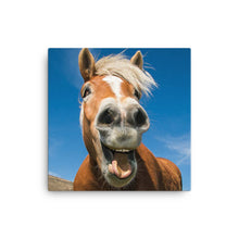 Load image into Gallery viewer, Horse 15 - Canvas