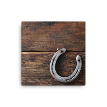 Load image into Gallery viewer, Horse 16 - Canvas