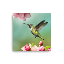 Load image into Gallery viewer, Hummingbird 1 - Canvas