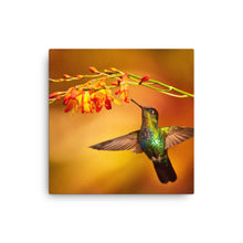 Load image into Gallery viewer, Hummingbird 3 - Canvas