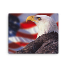 Load image into Gallery viewer, Eagle 2 - Canvas