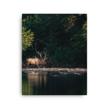 Load image into Gallery viewer, Elk 1 - Canvas