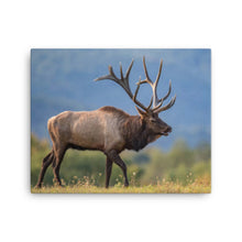 Load image into Gallery viewer, Elk 2 - Canvas