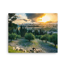 Load image into Gallery viewer, Mount Of Olives - Canvas