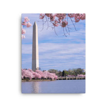 Load image into Gallery viewer, National Monument 2 - Canvas