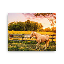 Load image into Gallery viewer, Horse In Kentucky - Canvas