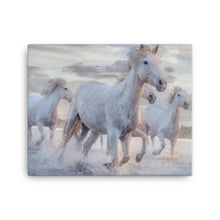 Load image into Gallery viewer, Horse 2 - Canvas